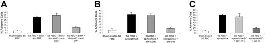 Figure 4. Adhesion of activated SS RBCs to ECs is mediated through the LW receptor. Inhibition of adhesion with antibody and recombinant protein was performed as described in “Materials and methods,” using EC-RF24 (A) and HUVECs (B-C). For all experiments, SS RBC controls were sham treated as described in “Materials and methods.” Results are presented as percent of cells adherent at a shear stress of 2 dynes/cm2 (n = 3 for A-C). (A) SS RBCs activated with 0.2 mM IBMX + 176 μM db-cAMP were incubated without mAb, with 10 μg/mL anti-LW, or with 100 μg/mL anti-CD47 mAb IgG, and then washed before adhesion assays were performed. (B) SS RBCs were incubated without mAb, with 10 μg/mL anti-LW, or with 100 μg/mL anti-CD47 mAb, washed, treated with 20 nM epinephrine for 1 minute, and then washed before adhesion assays were performed. (C) Confluent cultures of HUVECs were incubated without recombinant protein or with 25 μg/mL recombinant LW-Fc or CD44-Fc protein, washed, and then tested for their ability to support adhesion of sham-treated SS RBCs or SS RBCs treated with 20 nM epinephrine for 1 minute. In panels A through C, error bars show SD.