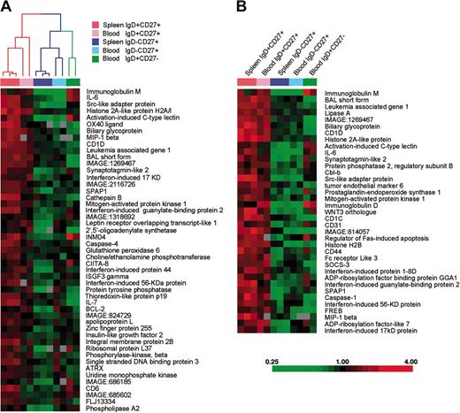 Figure 4. A common gene-expression signature for IgM+IgD+CD27+ B cells from blood and spleen. Each column represents microarray data from a sample of the indicated cell subtype, and each row represents the expression of a single gene. The spleen IgD+CD27+ and IgD-CD27+ populations are obtained from 2 separate donors, with 1 of the 2 samples prepared in duplicate. Red squares indicate increased expression and green squares indicate decreased expression relative to the median expression of the gene according to the color bar shown. Gray squares indicate missing or excluded data. (A) The array dendrogram obtained by clustering the 49 genes that differentiated (P < .005, 2-fold higher expression) the splenic IgD+CD27+ samples from the splenic IgD-CD27+ samples. The red branches indicate the coclustering of the blood IgD+CD27+ samples, with the splenic IgD+CD27+ samples, and the blue branches indicate the coclustering of the blood IgD-CD27+ samples with their respective splenic IgD-CD27+ samples. (B) The 37 genes that achieved statistical significance with a 2-fold higher mean expression when the IgD+CD27+ cell populations are compared with the memory IgD-CD27+ cell populations.