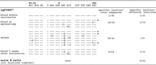 Figure 5. B-cell clones with an identical V3-15 CDR3 shared by IgM+IgD+CD27+ B cells from blood and spleen during a T-independent response. Amplification of V3-15–Cμ mRNA sequences was performed from naive and IgM+IgD+CD27+ B cells of a 9-year-old child undergoing splenectomy and immunized against S pneumoniae and N meningitidis (plain polysaccharidic vaccines). The following samples were analyzed: blood before immunization, blood at the time of splenectomy (ie, 8 days after immunization), spleen, and blood 5 weeks after immunization. The first V3-15–specific PCR products were further amplified with V3-15–specific FR3 and Cμ primers, and the resulting products fractionated by denaturing gel electrophoresis. A specific CDR3 size was excised from the gel after silver staining and reamplified with the same FR3 and Cμ primers, and sequences were determined after cloning. Several PCR amplifications were performed from 2 independent cDNAs for each cell sample. The recurrent CDR3s encompassing the V3-15 and JH3 junctions observed in the various IgM+IgD+CD27+ fractions are shown, with the most frequently occurring sequence taken as reference (CDR3 is defined as amino acids included between the conserved Cys residue of FR3 and Trp residue of JH segments). *Clones found repeatedly in independent PCR amplifications.