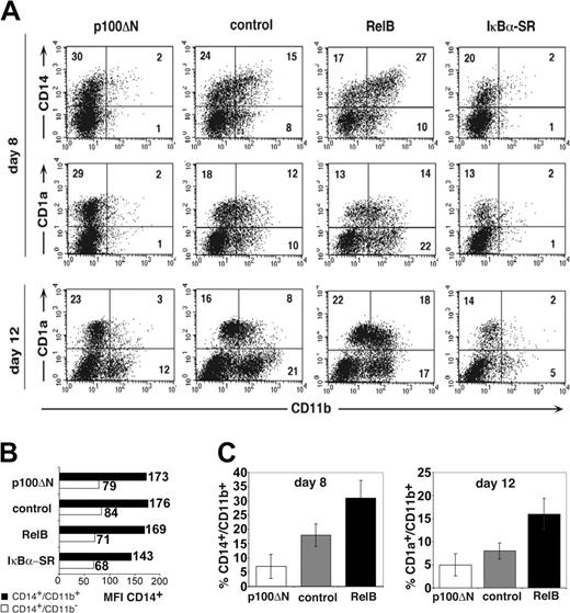 Figure 2. Reciprocal effects of RelB and p100ΔN on the differentiation of CD11b+ DCs. CD34+ cells were transduced with retroviral vectors encoding p100ΔN, empty control, RelB, or IκBα-SR upstream of IRES-GFP and were induced to develop into DCs. (A) FACS diagrams show transduced cells (gated on GFP+ cells, as shown in Figure 1A) analyzed for CD11b versus CD14 (day 8) or CD11b versus CD1a (days 8, 12). Markers were set according to negative control stainings. Data are representative of 4 independent experiments. Numbers indicate percentages of cells within the quadrants. (B) CD14 MFI (numbers to the right of each bar) of cells from FACS diagrams shown in panel A. ▪ indicates CD14+CD11b+ cells (top right quadrants). ▦ indicates CD14+CD11b- cells (top left quadrants). (C) Bar diagrams represent mean ± SD of CD14+CD11b+ (day 8; left) or CD1a+CD11b+ (day 12; right) cells in 4 independent experiments. Paired Student t test statistical analysis: percentage CD14+CD11b+ (left bar diagrams; p100ΔN vs control, P = .002; RelB vs control, P = .004); percentage CD1a+CD11b+ (right bar diagrams; p100ΔN vs control, P = .046; RelB vs control, P = .003).