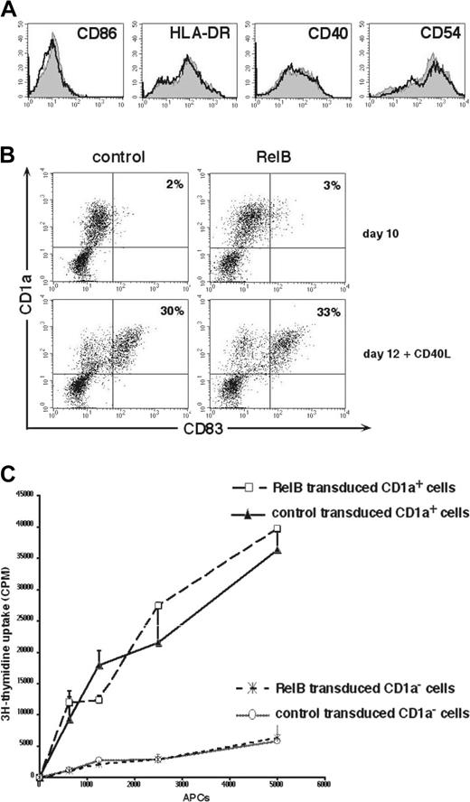 Figure 5. Effects of ectopic RelB on DC maturation. Immature or CD40L stimulated DCs transduced with RelB or control vector were analyzed for DC maturation-associated molecules. (A) Overlay histograms of gated GFP+ cells analyzed for the indicated marker molecules. Filled histograms represent RelB-transduced cells and solid black histograms represent empty control vector transduced cells. (B) FACS diagrams of gated GFP+ cells analyzed for CD83 versus CD1a expression. Parallel cultures were harvested and analyzed at day 10 (top panel) or were further cultured in the presence of CD40L and then harvested 48 hours later (bottom panel). Percentages of CD1a+CD83+ cells are indicated on the plots. (C) Cells were transduced with empty vector or RelB-IRES-GFP. Generated cells were FACS-sorted to obtain CD1a+GFP+ or CD1a-GFP+ cell fractions, and cells were subsequently stimulated with CD40L for 24 hours. Cells were then analyzed for their capacity to stimulate allogeneic T cells. (A-C) Data are representative of at least 4 experiments.
