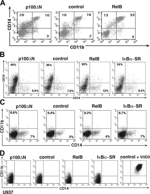 Figure 6. RelB promotes human monopoiesis but not granulopoiesis. CD34+ cells or U937 cells were transduced with retroviral vectors encoding p100ΔN, empty control, or RelB 5′ of IRES-GFP. Diagrams show representative gated GFP+ cells (A) CD34+ cells stimulated in the presence of M-CSF plus IL-6, FL. and SCF for 10 days analyzed for CD11b versus CD14 expression. (B) CD34+ cells stimulated in the presence of G-CSF, SCF, and FLT3L for 6 days and analyzed for CD14 versus CD15 expression. (C) U937 cells analyzed for CD14 versus CD11b expression (top panel). Right diagram show a positive control (cells 72 hours after vitamin D3 stimulation). (D) CD34+ cells stimulated in the presence of expansion mix (SCF, FLT3L, TPO) for 7 days analyzed for CD14 versus CD11b expression. Markers were set according to negative control stainings. (A-D) Data are representative of at least 3 experiments. Numbers on the plots represent percentages of gated cells within the indicated quadrants.