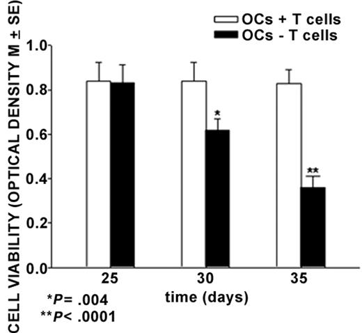 Figure 3. T cells increase cell viability of the OCs from human MM PBMCs. Cell viability was measured by MTT assay. MM PBMCs from patients with osteolysis were cultured in the presence (OCs + T cells) or in the absence (OCs – T cells) of T cells for 25, 30, and 35 days. M-CSF and RANKL were added to the T-cell–depleted cultures to allow OC formation. The viability of the OCs generated in the presence of T cells without addition of exogenous cytokines was significantly higher than that of the OCs formed in the absence of T cells.
