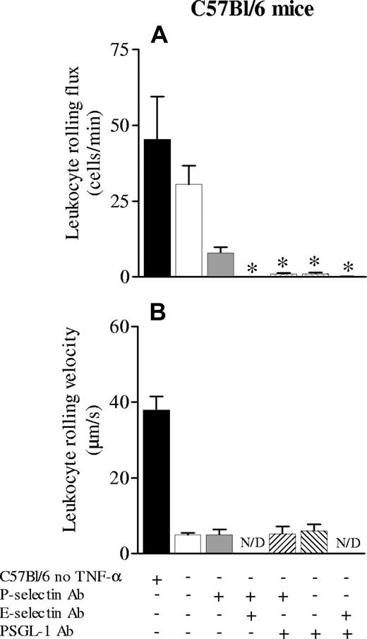Figure 1. Leukocyte rolling flux and velocity in cremaster microcirculation of C57Bl/6 mice treated with TNF-α. Leukocyte rolling flux (A) and leukocyte rolling velocity (B) in cremaster microcirculation of C57Bl/6 mice treated 3 hours before with TNF-α applied locally (0.5 μg/mouse). The effects of anti–P-selectin, anti–E-selectin, or anti–PSGL-1 alone or in combination were tested. ▪ represents the values for leukocyte rolling and leukocyte rolling velocity under control conditions. Data are presented as mean ± SEM. *P < .05 relative to C57Bl/6 mice treated with TNF-α (second column). N/D indicates not determined.