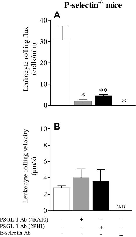 Figure 2. Leukocyte rolling flux and velocity in cremaster microcirculation of P-selectin-/- mice treated with TNF-α. Leukocyte rolling flux (A) and leukocyte rolling velocity (B) in cremaster microcirculation of P-selectin-/- mice treated 3 hours before with TNF-α applied locally (0.5 μg/mouse). The effects of anti–PSGL-1 antibody (4RA10 or 2PH1) and anti–E-selectin antibody were tested. Data are presented as mean ± SEM. *P < .05 relative to untreated value; ** P < .05 relative to 4RA10 treatment.