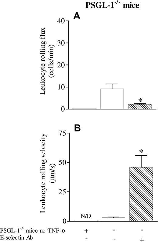 Figure 3. Leukocyte rolling flux and velocity in cremaster microcirculation of PSGL-1-/- mice treated with TNF-α. Leukocyte rolling flux (A) and leukocyte rolling velocity (B) in cremaster microcirculation of PSGL-1-/- mice treated 3 hours before with TNF-α applied locally (0.5 μg/mouse). The effect of anti–E-selectin antibody was tested. The first bar at left represents the values for leukocyte rolling and leukocyte rolling velocity under control conditions. Data are presented as mean ± SEM. *P < .05 relative to PSGL-1-/- mice treated with TNF-α (second column).