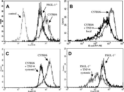 Figure 4. Flow cytometric analysis showing the binding in vitro of recombinant mouse E-selectin chimera to neutrophils from C57Bl/6 and PSGL-1-/- mice. (A) Binding to neutrophils of untreated C57Bl/6 and PSGL-1-/- mice along with cells alone as controls. (B) Binding to C57Bl/6 neutrophils and C57Bl/6 neutrophils after 3 hours of TNF-α local injection (intrascrotal). (C) Binding to C57Bl/6 neutrophils and C57Bl/6 neutrophils after 3 hours of TNF-α injection (intraperitoneal). (D) Binding to PSGL-1-/- neutrophils and PSGL-1-/- neutrophils after 3 hours of TNF-α systemic injection (intraperitoneal). Binding was detected with PE. The data are representative of 4 experiments.