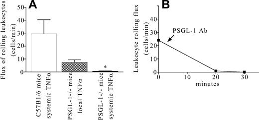 Figure 5. Leukocyte rolling flux in cremaster microcirculation of C57Bl/6 and PSGL-1-/- mice treated 3 hours before with TNF-α intraperitoneally or locally (0.5 μg/mouse). The effect of systemic or local injection of TNF-α is shown in C57Bl/6 and PSGL-1-/- mice (A). Also, the effect of PSGL-1 antibody (4RA10) was tested in C57Bl/6 mice injected systemically with TNF-α (B). Data are presented as mean ± SEM. *P < .05 relative to PSGL-1-/- mice that received local injection of TNF-α.