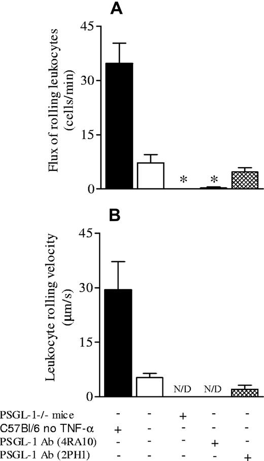 Figure 6. Leukocyte rolling flux and velocity in ear skin microcirculation of C57Bl/6 and PSGL-1-/- mice. Leukocyte rolling flux (A) and leukocyte rolling velocity (B) in ear skin microcirculation of C57Bl/6 and PSGL-1-/- mice. ▪ represent the values for leukocyte rolling flux (A) and leukocyte rolling velocity (B) in C57Bl/6 under control conditions. The remaining bars represent the experiments done in C57Bl/6 and PSGL-1-/- mice treated 3 hours before with TNF-α intraperitoneally (0.5μg/mouse). The effects of PSGL-1 antibodies (4RA10 or 2PH1) were tested in C57Bl/6 mice. Data are presented as mean ± SEM. *P < .05 relative to C57Bl/6 mice treated with TNF-α.