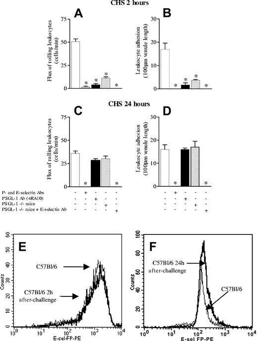 Figure 7. Leukocyte rolling flux and leukocyte adhesion in contact hypersensitivity (CHS) model 2 and 24 hours after challenge. (A,C) Leukocyte rolling flux at 2 and 24 hours after challenge, respectively. (B,D) Leukocyte adhesion at 2 and 24 hours after challenge, respectively. The effects of anti–P- and E-selectin antibodies in combination are shown as well as the anti–PSGL-1 antibody (4RA10) and in PSGL-1-/- mice. Finally, the effect of anti–E-selectin antibody in PSGL-1-/- is shown. (E,F) Flow cytometric analysis showing the binding in vitro of recombinant mouse E-selectin chimera to neutrophils from C57Bl/6 at 2 and 24 hours of CHS, respectively. Data are presented as mean ± SEM. *P < .05 relative to untreated value.