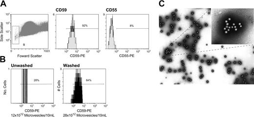 Figure 5. Microvesicles from stored RBC units transfused to patients express primarily CD59 on their surface. To assess the GPI-anchored protein content of erythrocyte microvesicles, we examined aliquots from 3 U blood received by a patient. Gating was performed to include a microvesicle population that was smaller than erythrocytes and staining with antiglycophorin. (A) Scattergrams of microvesicles binding to antiglycophorin and anti-CD55 and anti-CD59 showing primarily expression of CD59. (B) Stored RBC units were washed 3 times per blood bank procedure in unbuffered saline and the number and composition of microvesicles assessed in the washed and unwashed preparations. More CD59-rich microvesicles were found in the washed preparation. Microvesicle number per 10 mL washed and nonwashed blood is seen above. (C) RBC microvesicles were sorted by flow cytometry on the basis of staining with anti–CD59mAb-PE and antiglycophorin-FITC. Electron microscopy was performed on the positive preparation at × 18 000 magnification using a Zeiss model Axioskop microscope, a Zeiss camera (model Mc80 DX), with a × 60 objective.