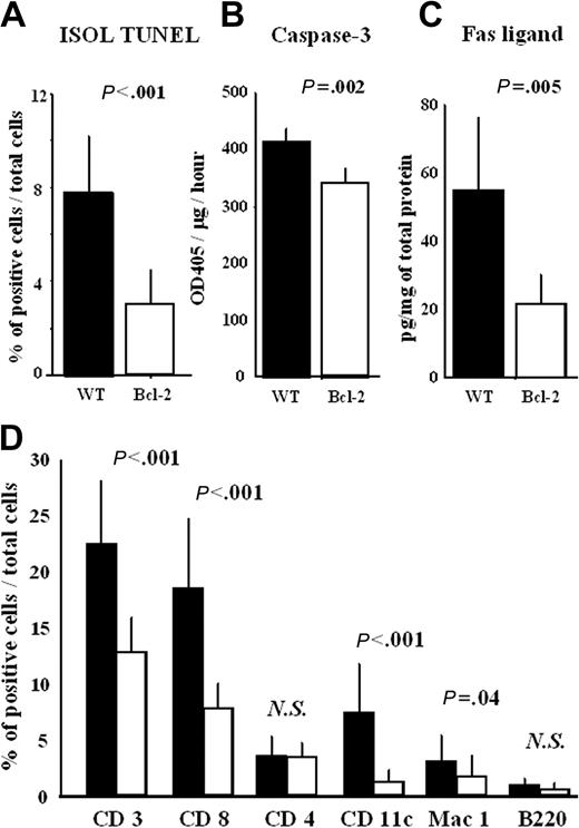 Figure 3. Bcl-2 overexpression results in reduced cardiomyocyte apoptosis and immune cell infiltration in cardiac allografts during acute rejection. At 8 days after transplantation, the cardiac allografts were harvested, and histologic sections and lysates from the cardiac allografts were prepared as described in “Materials and methods.” (A) The number of apoptotic cells in cardiac allografts was counted by ISOL TUNEL staining, (B) the activity of caspase-3, and (C) the level of Fas ligand in heart lysates were measured by ELISA. Histologic sections were also stained with anti-CD3, -CD4, -CD8a, -CD11c, -Mac-1, and -B220 antibodies, as described in “Materials and methods.” The number of positive cells in each cardiac allograft was manually counted by 2 investigators who were blinded to the experimental conditions. Cells were counted in 6 animals (4 fields each) at 200 × magnification. (D) The percentage of positively stained cells—that is, the number of labeled cells divided by total number of cells—was recorded. Filled columns show the data from WT heart grafts (n = 6), and open columns show data from the Bcl-2 Tg heart grafts (n = 6). Mean ± SD values are shown. NS indicates not significant.