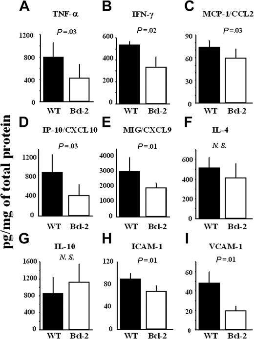 Figure 4. Reduction of TH1 cytokines, but not TH2 cytokines, chemokines, and adhesion molecules by Bcl-2 overexpression during acute rejection in allografts. At 8 days after transplantation, the cardiac allografts were harvested, and lysates from the cardiac allografts were prepared as described in “Materials and methods.” (A) Production of TNF-α, (B) IFN-γ, (C) MCP-1/CCL2, (D) IP-10/CXCL10, (E) MIG/CXCL9, (F) IL-4, (G) IL-10, (H) ICAM-1, and (I) VCAM-1 in heart lysates was measured by ELISA. Filled columns show the data from WT heart grafts (n = 6), and open columns show data from the Bcl-2 Tg heart grafts (n = 6). Mean ± SD values are shown. NS indicates not significant.