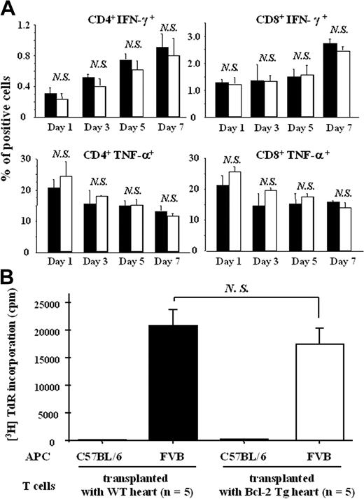 Figure 5. Bcl-2 overexpression in cardiac allografts does not modulate the allospecific host immune cell response in the spleen. Splenocytes from recipient mice were prepared at 1, 3, 5, and 7 days after heart transplantation (n = 3 each), as described in “Materials and methods.” (A) Expression levels of IFN-γ and TNF-α on splenic CD4+ or CD8+ T cells from host C57BL/6 mice that received transplanted Bcl-2 Tg hearts and WT hearts were assessed by intracellular cytokine staining analysis using flow cytometry. Splenocytes from recipient mice were prepared at 7 days (n = 5 each) after heart transplantation, as described in “Materials and methods.” (B) Anti-FVB (stimulator) activity of C57BL/6 splenocytes from WT naive (control) mice, mice that received transplanted WT hearts, and mice that received transplanted Bcl-2 Tg hearts was assessed by a mixed lymphocyte reaction. Filled columns show the data from WT heart grafts, and open columns show data from the Bcl-2 Tg heart grafts. Data are representative of 3 separate experiments. Mean ± SD values are shown. NS indicates not significant.