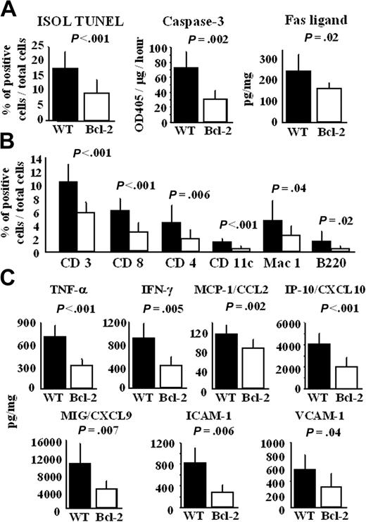 Figure 7. Bcl-2 overexpression in cardiac allografts results in less cardiomyocyte apoptosis, immune cell infiltration, and production of TH1 cytokines, chemokines, and adhesion molecule 30 days after transplantation. Thirty days after transplantation, cardiac allografts were harvested, and histologic sections and lysates from the cardiac allografts were prepared, as described in “Materials and methods.” (A) The number of apoptotic cells in cardiac allografts was counted by ISOL TUNEL staining, and the activity of caspase-3 and the level of Fas ligand in heart lysates were measured using ELISA. (B) Histologic sections were also stained with anti-CD3, -CD4, -CD8a, -CD11c, -Mac-1, and -B220 antibodies, as described in “Materials and methods.” The number of positive cells in each cardiac allograft was manually counted by 2 investigators blinded to the experimental conditions. Cells were counted in 8 animals (4 fields each) at 200 × magnification. The percentage of positively stained cells—that is, the number of labeled cells divided by total number of cells—was recorded. (C) Production of TNF-α, IFN-γ, MCP-1/CCL2, IP-10/CXCL10, MIG/CXCL9, ICAM-1, and VCAM-1 in lysates from the cardiac allografts was measured by ELISA. Filled columns show the data from WT heart grafts (n = 8), and open columns show data from the Bcl-2 Tg heart grafts (n = 8). Mean ± SD values are shown.