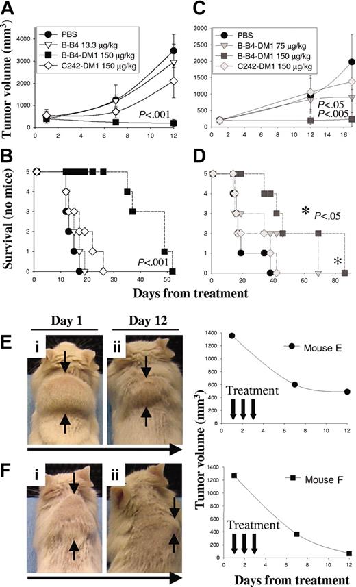 Figure 5. Activity of B-B4–DM1 in a tumor xenograft model of human CD138+ MM. CB-17 SCID mice were inoculated subcutaneously in the interscapular area with 5 × 106 OPM1 (A-B) or OPM2 (C-D) MM cells. Mice were treated intravenously with B-B4–DM1 or control mAbs for 3 consecutive days. Tumor volume was assessed in 2 dimensions using an electronic caliper, and the volume was expressed in mm3 using the formula: V = 0.5a × b2, where a and b are the long and short diameters of the tumor, respectively. Tumor volume and survival were calculated as described in “Materials and methods.” * indicates that P value is related to the curve with ▪. (E-F) Mice bearing large OPM1 tumors (1309 ± 60 mm3) were treated intravenously with B-B4–DM1 (150 μg DM1/kg) for a total of 3 consecutive days. Figure shows a significant tumor regression 12 days following the beginning of treatment.