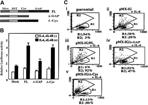Figure 5. Requirement of the GAP domain in the MgcRacGAP enhancement of IL-6–mediated STAT3 activation in HeLa cells and differentiation of M1 cells. The GAP domain is required for augmentation of IL-6–mediated STAT3 transactivation in HeLa cells and for IL-6–induced differentiation of M1 cells. (A) The structures of FL and deletion mutants of MgcRacGAP lacking the GAP domain (ΔGAP) or the cysteine-rich domain (ΔCys). (B) The ΔGAP did not augment the IL-6–mediated transactivation of STAT3. Luciferase activities were examined in lysates of unstimulated or IL-6– and sIL-6R–stimulated HeLa cells cotransfected with the internal control reporter plasmids and either the mock vector (pME) or the expression vector for the FL, ΔGAP, or ΔCys as described in “Materials and methods.” The results shown are the averages ± standard deviations of 3 independent experiments. (C) Quantitation of cell differentiation on flow cytometry in untreated parental M1 (i), and in M1 cells expressing pMX-IG (ii), pMX-IG-FL (iii), pMX-IG-ΔGAP (iv), or pMX-IG-ΔCys (v) at 4 days after IL-6 treatment (5 ng/mL). Differentiated M1 cells were detected in region R2.