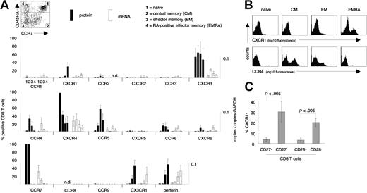 Figure 1. Chemokine receptor expression on CD8 T-cell subsets. (A) Protein and mRNA levels of chemokine receptors were assessed on naive, central memory (CM), effector memory (EM), and CD45RA re-expressing effector memory (EMRA) CD8 T cells. CXCR1 and CX3CR1 were selectively expressed on EMRA CD8 T cells, while CCR4 was selectively expressed on CM and EM CD8 T-cell subsets. Note the generally tight association of protein expression and mRNA levels. (B) Representative examples of cell surface expression of CXCR1 and CCR4 on naive, CM, EM, and EMRA CD8 T cells. (C) Distribution of CXCR1+ CD8 T cells among subsets of CD8 T cells defined by expression/absence of CD27 and CD28. CXCR1+ CD8 T cells were highly enriched within the CD27– and CD28– subpopulations of CD8 T cells. Data represent the mean (± SD) of 3 to 12 healthy blood donors. Several donors were tested more than once. n.d. indicates not done.