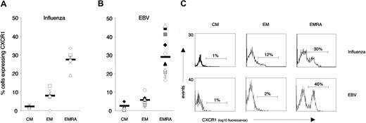 Figure 6. CXCR1 expression on subsets of EBV- and influenza-specific CD8 T cells. The percentage of antigen-specific CD8 T-cell subsets expressing CXCR1 was assessed by means of HLA class I tetramers combined with antibody staining. CD8 T-cell responses were identified by ELISpot analyses using optimal epitope peptides and are given in Figure 5. (A) Percentage of CXCR1 expression on subsets of influenza-specific CD8 T cells. (B) Percentage of CXCR1 expression on subsets of EBV-specific CD8 T cells. Both lytic and latent antigen-specific CD8 T-cell responses were analyzed (Figure 5). (C) Representative flow-cytometry profiles of CXCR1 expression on influenza- and EBV-specific CD8 T-cell subsets.