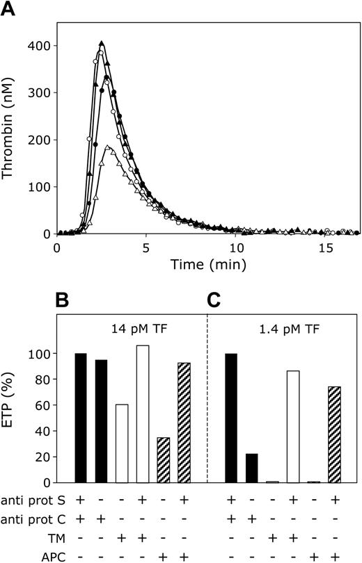 Figure 6. APC-cofactor versus APC-independent anticoagulant activity of protein S. (A) Thrombin generation was initiated with 14 pM tissue factor, 10 μM phospholipid vesicles (20/60/20 DOPS/DOPC/DOPE), and 16 mM CaCl2 (final concentrations) in normal pooled plasma with anti–protein S and anti–protein C antibodies (○), anti–protein C antibodies (•), 40 nM thrombomodulin (▵), 40 nM thrombomodulin, and anti–protein S antibodies (▴). (B,C) Endogenous thrombin potentials (ETP) calculated from time courses of thrombin generation initiated with either 14 pM tissue factor (B) or 1.4 pM tissue factor (C). ETP were determined in plasma without added APC or thrombomodulin (▪), addition of 40 nM thrombomodulin (□) or 7.5 nM APC (▨), and presented in percentage of ETP in plasma with antibodies against protein S and protein C.