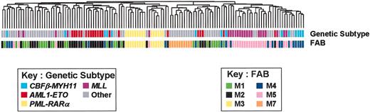 Figure 1. Unsupervised cluster analysis of pediatric AMLs. Expression profiles of the diagnostic leukemic blasts from 130 cases of pediatric AML were obtained using the U133A Affymetrix microarray. The expression data were then filtered to remove any probe sets that failed to show significant variation in expression across the data set. The remaining 17 051 probe sets were then used in an unsupervised 2-dimensional hierarchical clustering algorithm, and the resultant dendrogram is shown. Indicated below the dendrogram are the genetic subtype and FAB morphology for each case according to the indicated color codes.