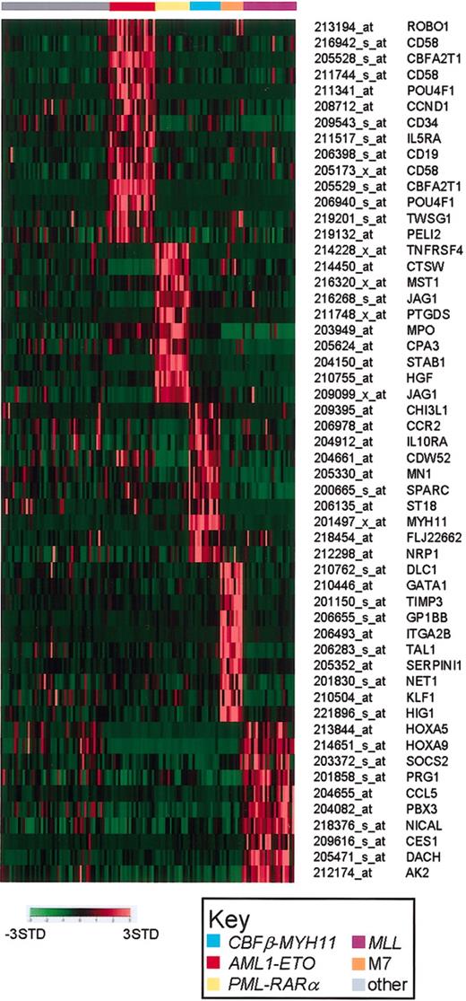 Figure 3. AML subtype-specific class discriminating genes. Shown are representative genes that are highly correlated with the individual genetic subtypes of AML. Probe set signal values are normalized to the mean for the data set and the expression for each case is then represented by color, with red representing deviation above the mean and green representing deviation below the mean. The leukemia subtype is indicated at the top of the figure, and the Affymetrix probe set number and gene symbol are listed on the right side of the figure.