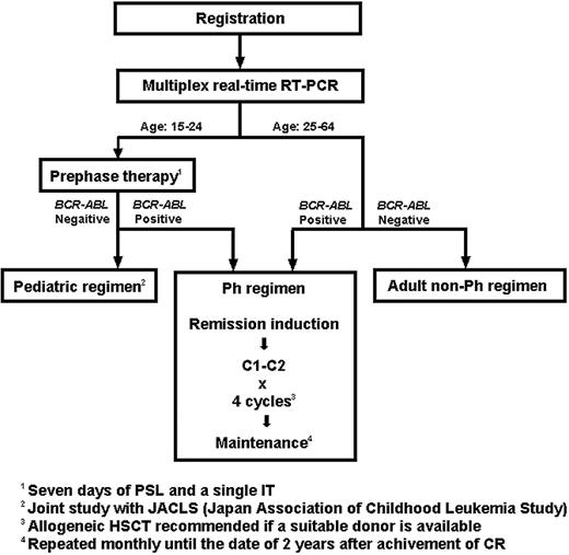 Figure 1. Treatment strategies of the JALSG ALL202 study. Patients were treated differently according to age and the presence or absence of BCR-ABL fusion transcripts. Pretreatment bone marrow samples were analyzed in a multiplex real-time RT-PCR assay, and the results were obtained within one week. Patients younger than 25 years underwent a 7-day prephase therapy. For patients aged 25 years or older, the first 7 days of treatment were identical for the Ph and the adult non-Ph regimen, but patients were treated differently from day 8 on the basis of the BCR-ABL result. IT indicates intrathecal injection.