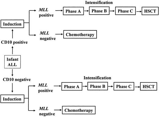Figure 1. Flow diagram illustrates the design of the MLL98 protocol. Each infant presenting with ALL was assigned to one of 2 subgroups at diagnosis according to the expression of CD10 antigen on leukemic blast cells. Patients were reassigned to subgroups based on the detection of MLL gene rearrangements after remission induction. Those with MLL+ blasts received 3 courses of intensification therapy followed by HSCT. Chemotherapy regimens for MLL+ cases are reported in Table 1.