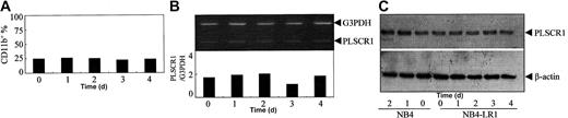 Figure 2. Effects of ATRA on PLSCR1 expression in the maturation-resistant leukemic cell line NB4-LR1. NB4-LR1 cells were treated with 10-6 M ATRA for the times indicated. Quantification of CD11b+ cells (A), semiquantitative RT-PCR for PLSCR1 mRNA (B), and Western blot for PLSCR1 (C) were performed as detailed in “Materials and methods.” For Western blot of PLSCR1, NB4 cells treated without or with 10-6 M ATRA for 1 to 2 days were used as controls, demonstrating ATRA-induced up-regulation of PLSCR1 in NB4 cells.