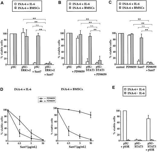 Figure 3. Combined targeting of the IL-6R/STAT3 pathway and the MEK1,2/ERK1,2 module induces apoptosis of INA-6 cells even in the presence of BMSCs. (A) INA-6 cells transfected with expression plasmids for siRNAs against ERK1 and ERK2 (pSU-ERK1 + 2), or control plasmid (pSU), were cultured in medium with IL-6 (□) or in the presence of BMSCs (▦), and treated with or without 50 μg/mL Sant7. Apoptosis was assayed after 3 days and survival of the respective pSU-transfected samples was set as 100%. Sant7 induced strong cell death in medium and knockdown of ERK1,2 had no effect. In the presence of BMSCs, myeloma cells were protected from the apoptotic effect of Sant7, and blockade of both the IL-6R/STAT3 and the MAPK pathways was required for apoptosis. (B) INA-6 cells transfected with an expression plasmid for an siRNA against STAT3 (pSU-STAT3) or control plasmid (pSU), cultured as described in panel A and treated with or without 50 μM PD98059. In the presence of BMSCs, the combination of both drugs (ie, blockade of the IL-6R/STAT3 and the MAPK pathways) was required for apoptosis. (C) INA-6 cells cultured as described in panel A and treated with 50 μM PD98059 and/or 50 μg/mL Sant7. The effects of both pharmacologic inhibitors mimicked those of the siRNAs that abrogate the respective pathway. (D) INA-6 cells cultured in medium with IL-6 (top) or in the presence of BMSCs (bottom) without (□) or with (▪) 50 μM PD98059, and with increasing concentrations of Sant7. Increasing concentrations of Sant7 alone were sufficient to kill the cells in medium, but the combination of both pathway blockers was required to achieve the same result in the presence of BMSCs. (E) Expression of STAT3 protein that is derived from a sequence no longer recognizable by the siRNA (plasmid pS3R) largely blocked the detrimental effects of STAT3 siRNA expression (□). Cell death induced through IL-6 depletion was not affected (). All data shown are derived from at least 3 independent experiments. Statistical analysis (A-C) revealed very significant (**) or no (n.s. = not significant) differences as indicated. Error bars denote the range of values derived from at least 3 independent experiments.