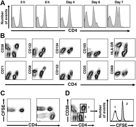 Figure 2. CD4 up-regulation occurs following chronic stimulation in vitro. (A) Histograms represent CD4 fluorescence intensity following various stimulation periods. A distinct CD4hi population starts to become evident at day 6 and is clearly evident at day 7 in data representative of experiments from 6 unique donors. (B) Up-regulation of activation markers occurs uniquely on CD4hi T cells. Following 7 days of stimulation with an allogeneic PBMC pool, up-regulation of 10 activation markers (y-axes) was assessed with respect to CD4 fluorescence intensity (x-axis). In each case, activation-marker coexpression was restricted within the CD4+ T-cell subset to the CD4hi population. Data from 1 donor shown are representative of experiments from 8 unique donors stimulated in the same fashion. (C) Proliferation of alloreactive T cells is restricted to the CD4hi subset. A decrease in fluorescence intensity of CFSE, a dye used to label responder cells, is seen within the CD4+ T-cell population only in the CD4hi subset following 7 days of stimulation. (D) Within the CD4+ T-cell population, CFSElow cells are confined to the alloreactive CD4hiCD38+ T-cell subset following allogeneic stimulation. The median number of divisions, calculated by the change in CFSE fluorescence intensity in the 2 peaks illustrated at right, is 4.1 ± 0.5, based on experiments from 5 unique donors. Assuming that nondividing cells did not die during the stimulation period, we estimate that the original precursor frequency of alloreactive cells was 6.9% ± 1.5% of the original CD4+ T-cell population.