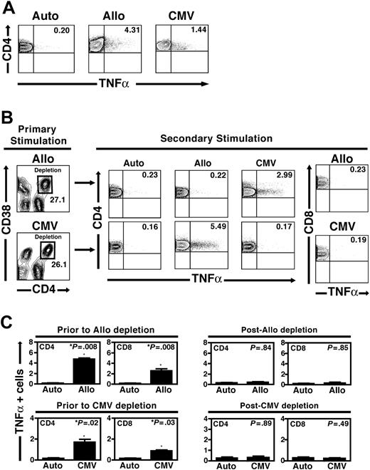 Figure 3. Specific depletion of alloreactive and/or CMV-specific CD4+ T cells. (A) The baseline frequencies of responder CD4+ T cells from a healthy CMV-seropositive donor responding to 7 days of stimulation with autologous PBMCs, pooled allogeneic PBMCs, and CMV antigens are shown. In each case, the TNFα+ frequency within the CD4+ T-cell population is shown (upper right quadrants). (B) Specific depletion of CD4hiCD38+ T cells following allogeneic or CMV stimulation. Following primary stimulation with either pooled allogeneic PBMCs (top) or CMV lysates (bottom), high-speed sorting was used to deplete the cells contained within the CD4hiCD38+ population (black squares). Residual cells, including CD4intCD38– cells and all CD8+ T cells, were then restimulated with autologous PBMCs, pooled allogeneic PBMCs, and CMV antigens. Following primary allogeneic stimulation and depletion of CD4hiCD38+ cells, secondary stimulation induced a CMV-specific CD4+ T-cell response slightly higher than that at baseline (2.99% versus 1.44%), while secondary stimulation with the allogeneic PBMC pool was reduced to a level similar to that following control autologous stimulation (0.22% versus 0.23%). Conversely, depletion of CD4hiCD38+ cells following primary CMV stimulation resulted in preserved secondary CD4+ T-cell responses to allogeneic stimulation (5.49%) but not CMV stimulation (0.17% versus 0.16% following autologous stimulation). As shown in the panels on the right, depletion of the CD4hiCD38+ T-cell subset following either allogeneic or CMV stimulation also resulted in the loss of a detectable CD8+ T-cell response following secondary restimulation with the same antigen (0.23% for allogeneic and 0.19% after CMV stimulation), similar to that in control samples (data not shown). Data shown are representative of 5 depletion experiments following allogeneic stimulation and 4 experiments depleting CMV-specific T cells from unique donors. (C) Aggregate results from 9 separate experiments are shown (5 from unique donors depleting allogeneic CD4hiCD38+ responders, 4 from depleting CMV-specific CD4hiCD38+ responders). Displayed are the medians and standard deviations of TNFα-producing cells within CD4+ and CD8+ T-cell subsets prior to either allogeneic depletion (top left panels) or CMV depletion (bottom left panels). Following depletion of either allogeneic or CMV-specific CD4hiCD38+ T cells, responses to the primary stimulus in both CD4+ and CD8+ T-cell compartments during secondary stimulation were reduced to a level indistinguishable from that seen following control autologous stimulation (right panels).