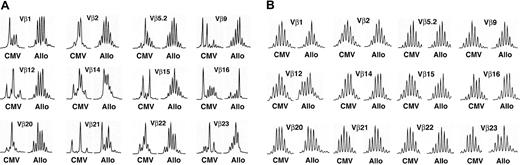 Figure 4. TCR spectratyping reveals the presence of a diverse TCR repertoire following depletion of alloreactive or CMV-specific T cells. (A) Molecular diversity of CD4hiCD38+ T cells. Purified CD4hiCD38+ T cells obtained following CMV stimulation demonstrated more skewing from a diverse Gaussian pattern relative to the CD4hiCD38+ T-cell subset obtained after allogeneic stimulation. (B) Diverse repertoire of residual CD4intCD38– T cells following depletion of reactive CD4hiCD38+ T cells. The TCR repertoire of CD4intCD38– T cells, obtained after either CMV or allogeneic stimulation, was extremely diverse, as evidenced by a normal Gaussian TCR spectratype. In each example, representative TCR Vβ subsets from 12 of 23 assessed TCR Vβ subsets. Results are from a single donor and representative of 2 similar experiments.
