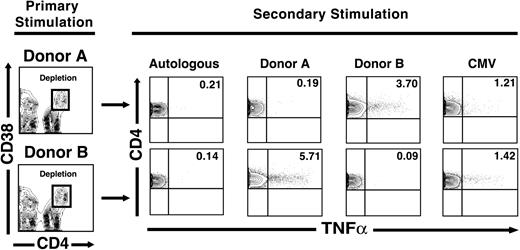 Figure 5. Third-party alloreactivity is preserved after depletion of alloreactive cells stimulated with single-donor apheresis products. PBMCs from a healthy donor were stimulated with irradiated PBMCs obtained from clinically harvested apheresis products from 2 donors (designated A and B). Following 7 days of stimulation, the CD4hiCD38+ T-cell population was depleted using the gating strategy shown in the panels on the left. After depletion of alloantigen-specific CD4hiCD38+ T cells, repeat stimulation with the original donor resulted in activation of CD4+ T cells similar to that seen following autologous restimulation. However, residual cells remained capable of responding to either a third-party donor (eg, 3.7% of CD4+ T cells still responded functionally to donor B, and 1.21% of CD4+ T cells responded to CMV stimulation following depletion of cells originally stimulated with donor A, top). Results are representative of 2 similar experiments from healthy donors.
