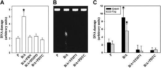 Figure 1. BCR/ABL-induced ROSs cause oxidative DNA damage. 32Dcl3 parental (P) and BCR/ABL-32Dcl3 cells (B/A) were cultured in the presence of IL-3; 2 μM imatinib mesylate, 0.2 μM PDTC, 100 μM DMPO, and 100 μM PBN were added for 48 hours when indicated. (A) Spontaneous DNA damage was detected by the comet assay. (B) Native genomic DNA was run through an ethidium-stained 2.5% agarose gel. (C) Oxidative damage to DNA was probed by EndoIII endonuclease and Fgp glycosylase and was detected by the comet assay. Bars represent the enzyme-dependent increase of DNA damage over that detected in the undigested samples. The error bars represent standard deviation. *P < .05 compared with other experimental groups.