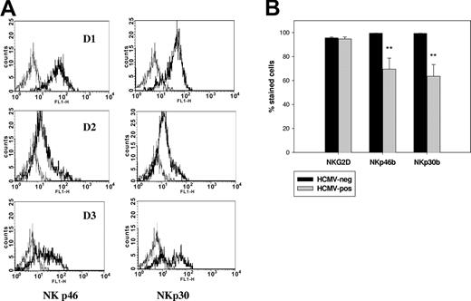 Figure 4. Expression of NKG2D and NCRs in NK cells from HCMV-positive individuals. PBLs from HCMV-positive (n = 11) and HCMV-negative donors (n = 13) were stained with anti-CD3 and CD56-specific mAbs in combination with either NKG2D-, NKp46-, or NKp30-specific mAbs and subsequently analyzed by flow cytometry (Protocol 2; see “Immunofluorescence and flow cytometry analysis”). (A) The different staining patterns of CD3-CD56+ (NK) cells observed with anti-NKp46 and NKp30 mAbs are shown, corresponding to samples from 3 representative donors (D1 to D3). (B) The proportions (mean ± SEM) of NKG2D+, NKp46bright+, and NKp30bright+ NK cells are displayed for each group. The percentage of NKG2D+ T cells were comparable in HCMV-positive and HCMV-negative donors (data not shown). Statistical analysis was carried out as described in “Patients, materials, and methods”; **P < .01.