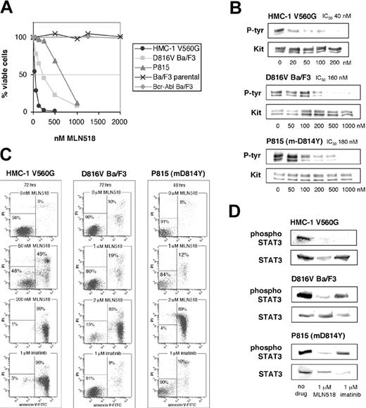 Figure 2. Inhibitory profile of MLN518 against KIT mutant cell lines. (A) KIT juxtamembrane and activation loop mutant-expressing cell lines were assessed for cell viability by MTT assay at 72 hours in the presence of escalating doses of MLN518. Bcr-Abl Ba/F3 and Ba/F3 parental cell lines were used as controls. Graphs represent the average of 3 independent experiments, each plated in triplicate. (B) KIT mutant cell lines incubated in escalating doses of MLN518 were immunoblotted for tyrosine phosphorylation of the KIT receptor. Simultaneous blots for total KIT receptor were used as loading controls. Phosphotyrosine content was normalized for total KIT, and IC50 values were calculated as the average of 3 independent experiments. Representative gels are shown. (C) KIT mutant cell lines were assessed for an increase in the number of apoptotic cells in response to escalating doses of MLN518. Apoptotic cell numbers were determined by flow cytometric measurement of annexin V binding. Representative experiments are shown. (D) KIT mutant cell lines were assessed for inhibition of phosphorylation of the downstream target Stat3. Phosphospecific immunoblots for tyrosine 705 of Stat3 were performed on cells incubated in the presence of either 1 μM MLN518 or 1 μM imatinib. Simultaneous blots of total Stat3 were used as a loading control. Representative gels are shown.