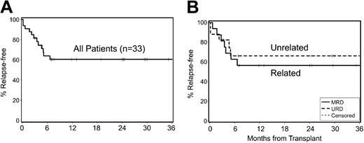 Figure 3. Kaplan-Meier estimates of progression-free survival. Progression-free survival of (A) all 33 patients and (B) unrelated (n = 17) and related (n = 16) recipients after nonmyeloablative conditioning and HCT for mantle cell lymphoma.