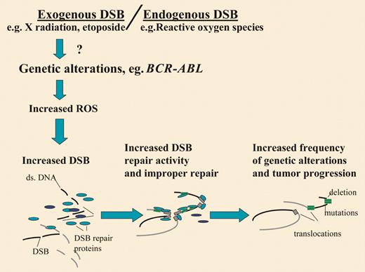 Model for the acquisition of genomic instability by oncogenic genetic alterations such as BCR-ABL. Here BCR-ABL leads to increased reactive oxygen species (ROS), which generate increased double-strand breaks (DSBs) and incorrect repair, thus introducing further genetic changes into cells, leading to tumor progression.