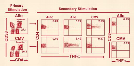 Specific depletion of alloreactive and/or CMV-specific CD4+ T cells. See the complete figure in the article beginning on page 3429.