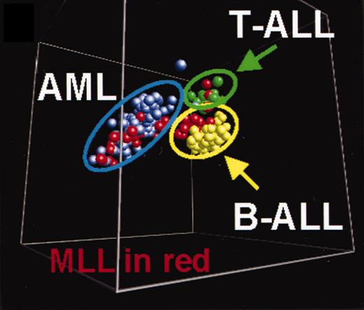 Gene expression–based relationship between leukemias with MLL rearrangements and those without. See the complete figure in the article beginning on page 3679.