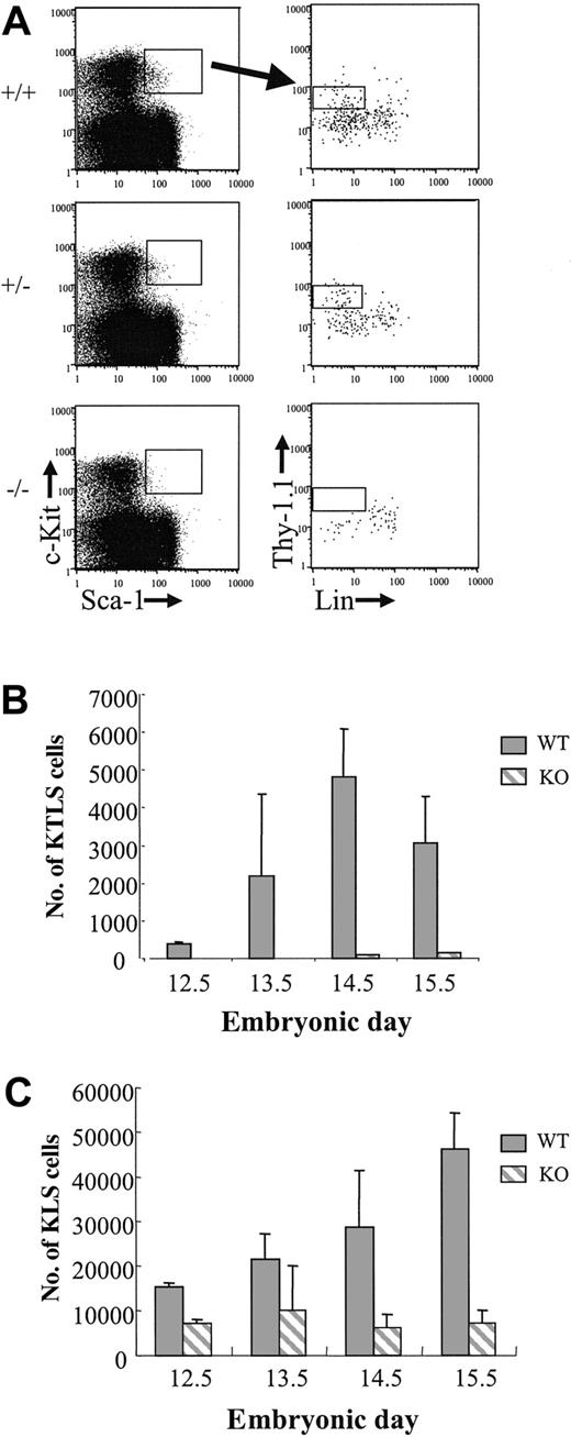 Figure 1. KTLS cells in e13.5 fetal liver from +/+, +/-, and -/- PU.1 embryos. (A) Cells obtained from representative e13.5 fetal livers were incubated with a blocking antibody to Fc receptor (2.4G2) and then were stained with Sca-1TexasRed, c-KitAPC, LinPE, and Thy-1.1FITC. Cells expressing Sca-1 and c-Kit (left) were analyzed for Thy-1.1 and lineage marker expression (right). (B) The absolute number of KTLS and (C) KLS cells in PU.1+/+ and PU.1-/- fetal livers is indicated (for -/- embryos, n = 2, e12.5; n = 6, e13.5; n = 8, e14.5; and n = 6, e15.5; for +/+ embryos, n = 2, e12.5; n = 2, e13.5; n = 6, e14.5; and n = 5, e15.5). Error bars indicate ± SEM.