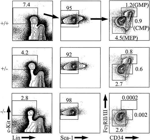 Figure 4. Analysis of CMPs, GMPs, and MEPs from e14.5 fetal liver. Representative e14.5, PU.1+/+ (n = 2), PU.1+/-(n = 5), or PU.1-/- (n = 3) fetal liver samples were stained with c-KitAPC, Sca-1TexasRed, Linbiotin/streptavidinPE-Cy5, FcγII/IIIPE, and CD34FITC and then analyzed by FACS. The percentage of CMPs, GMPs, and MEPs among total fetal liver cells is indicated. The percentages of Sca-1-cells are given as a percentage of the c-Kit+Lin- subset.