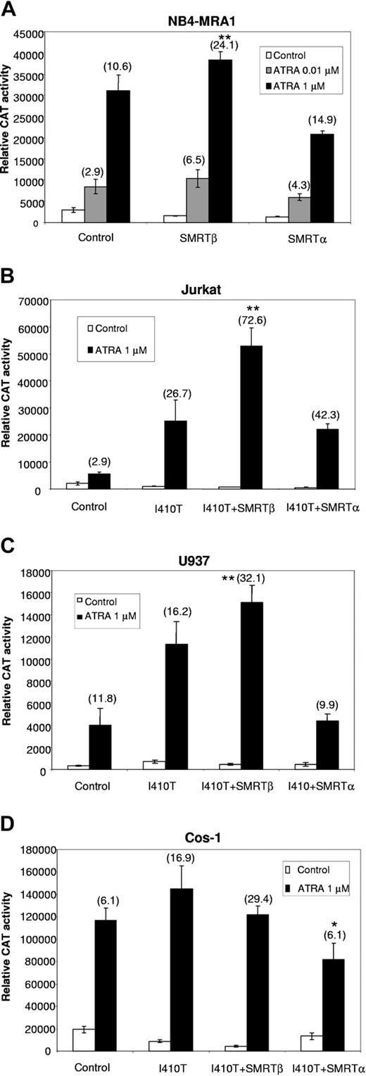 Figure 4. Overexpressed SMRTβ isoform promotes ligand-induced transactivation of PML/RARα mutant I410T in ATRA-resistant NB4-MRA1 APL cells and other cell lines. Transient cotransfection assays to determine the effects of SMRTβ and SMRTα overexpression on I410T activity using a DR5-tk-CAT reporter gene in (A) ATRA-resistant APL NB4-MRA1, (B) hematopoietic Jurkat, (C) hematopoietic U937, and (D) nonhematopoietic Cos-1 cell lines. Cells were cotransfected either with empty expression vectors pCMX or pSG5 (control) or with expression vectors for PML/RARα I410T and specific vectors for SMRTβ or SMRTα. Assays were performed in triplicate and repeated at least 3 times. Bars represent standard deviation of the mean. Numbers in parentheses indicate the fold induction produced by ATRA. There was a significant difference (**P < .01) for fold induction of transcription in cells transfected with SMRTβ compared with control transfection (A-C), and there is no significant difference between cells transfected with SMRTα. In Cos-1 cells (D), SMRTα-transfected cells showed a significant decrease (*P < .01) in induction relative to control- or SMRTβ-transfected I410T.