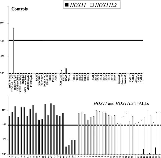 Figure 1. HOX11 and HOX11L2 RT-PCR quantification. RQ-PCR quantification of HOX11 (▪) and HOX11L2 (□) transcripts from controls (upper panel) and T-ALLs (lower panel). Controls include 6 normal peripheral mononuclear cell (PBL), 9 bone marrow (BM) and 3 thymi, 5 acute myeloid leukemias (AMLs), and 7-T and 8-B lymphoid and 4 myeloid (My) cell lines, as indicated. Amplified transcripts were normalized for RNA quality using the ABL housekeeping gene and were expressed as equivalent plasmid copy numbers on a logarithmic scale. Samples expressing more than 104 copies of HOX11 or HOX11L2 were classified as positive (bold line). Six adult and 1 adolescent T-ALLs expressed 1 to 2 log lower levels of HOX11, 3 in conjunction with HOX11L2 expression. T-ALLs demonstrating fewer than 100 copies of HOX11 and HOX11L2 are not shown.