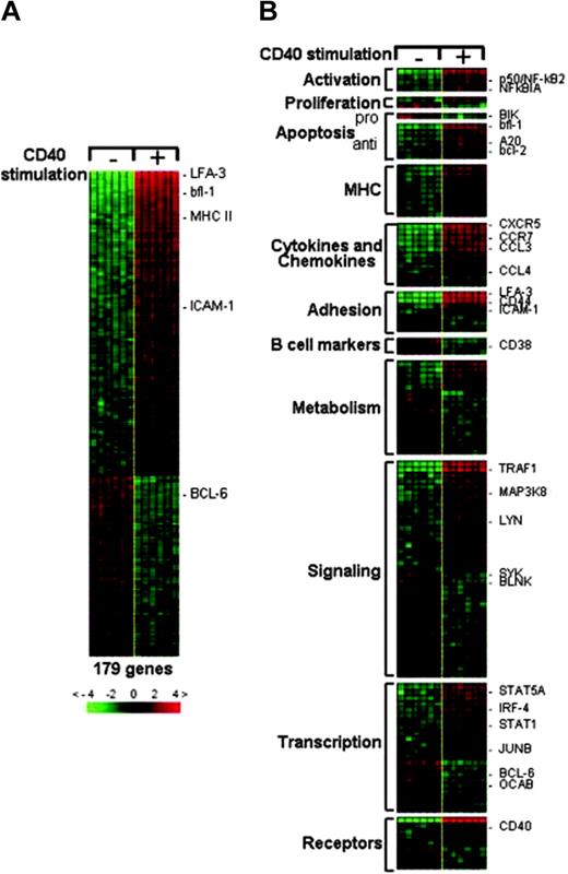 Figure 1. Generation of the CD40 gene expression signature. Six samples of each type of CD40-stimulated and unstimulated Ramos cells were studied by DNA microarray analysis. Genes differentially expressed in the 2 groups were identified by supervised analysis by means of the Genes@Work software platform. In the matrix, columns represent samples and rows correspond to genes. Red and green indicate up-regulated and down-regulated expression, respectively. Values are quantified by the scale bar, which visualizes the difference in the ζ-score (expression difference/standard deviation) relative to the mean. Genes are ranked based on the z score (mean expression difference of the respective gene in phenotype and control group/standard deviation). (A) The CD40 gene expression signature comprised 106 up-regulated and 73 down-regulated genes. Some of the genes whose expression is known to change upon CD40 activation are indicated. (B) A subset of the CD40 signature genes is shown according to their distribution in functional categories. For the complete list of genes, including GenBank Accession numbers and Affymetrix codes, see Table S1, available on the Blood website (click the Supplemental Materials link at the top of the online article).