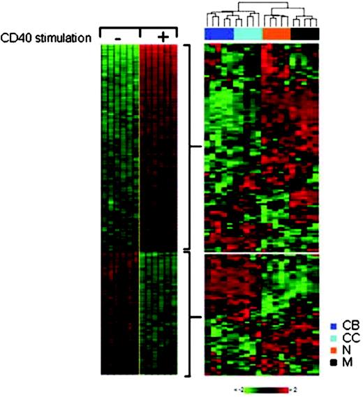 Figure 2. Tracking the CD40 signature in normal B cells. The CD40 gene expression signature (left panel) was used to track the activity of CD40 signaling in normal B cells with the use of the gene expression profiles of pre-GC naive B cells (N), GC B-cell populations (CB and CC), and post-GC memory B cells (M). The expression of the CD40 signature genes in the normal B-cell subpopulations was analyzed by hierarchical clustering with the use of the average linkage method (right panel). The color scale identifies relative gene expression changes normalized by the standard deviation, with 0 representing the mean expression level of a given gene across the panel. The first branching in the dendrogram separates the GC (CB and CC) from the non-GC (N and M) B cells. The majority of the 106 CD40 up-regulated genes showed higher expression in naive and memory B cells compared with CBs and CCs. Reciprocal gene expression patterns were observed for the CD40 down-regulated genes that are mostly expressed at lower levels in naive and memory B cells compared with GC B cells. The expression of the CD40 signature genes in CBs and CCs mimics the expression of those genes in unstimulated cells, suggesting that CD40 signaling is not active in GC B cells. To further quantify the presence of the CD40 signature, we used 2 binary scoring approaches (see “Materials and methods”), showing that the CD40 signature of stimulated cells was absent from GC B cells and detectable in naive and memory B cells at P ≤ 10-7.