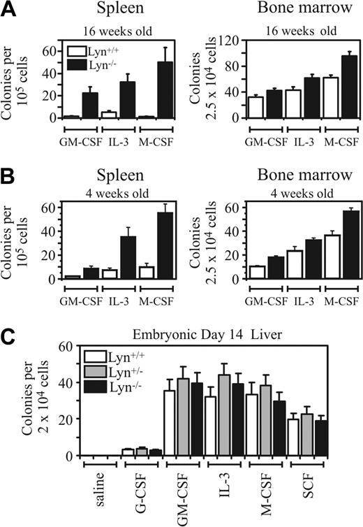 Figure 1. Normal fetal and bone marrow myelopoiesis but enhanced splenic myelopoiesis in 4- and 16-week-old Lyn-/- mice. Progenitors responsive to GM-CSF, IL-3, or M-CSF in the spleen and BM of (A) 16-week-old or (B) 4-week-old sex-matched Lyn+/+ and Lyn-/- mice were assessed by in vitro semisolid agar assays. Data presented in panels A-B correspond to the mean (± SEM) for 2 to 4 experiments using 2 to 3 mice per experiment. (C) Day-14 myeloid fetal liver progenitor populations in Lyn+/+ (n = 9), Lyn+/- (n = 17), or Lyn-/- (n = 8) mice were assessed in the presence of the indicated cytokines (mean ± SEM). Fetal livers were derived from day-14 embryos obtained from time-mated Lyn+/- mice. The splenic myeloid data presented in panel A (left panel) have been reported previously22 (reprinted from Immunity, Vol 15, Harder KW, Parsons LM, Armes J, et al, “Gain- and loss-of-function Lyn mutant mice define a critical inhibitory role for Lyn in the myeloid lineage,” pages 603-615, copyright (2001), with permission from Elsevier).