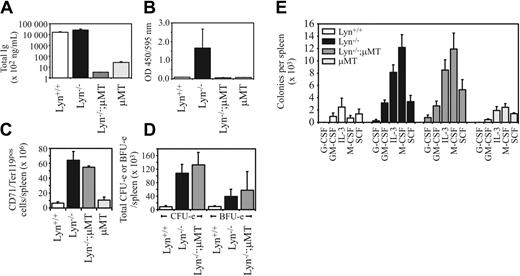 Figure 4. B-cell developmental defects and autoimmune disease are not linked to the hematopoietic changes observed in Lyn-/- mice. (A) Lyn+/+, Lyn-/-, Lyn-/-;μMT/μMT, and μMT/μMT control mice were assessed for total immunoglobulin levels by ELISA, or (B) antinuclear antibody titers using DNA and nuclear antigen-coated ELISA plates incubated with a 1:500 dilution of sera from mice of the indicated genotypes. Relative optical densities are shown. (C) Total numbers of CD71+Ter119+ cells were enumerated following FACS analysis of spleen cell preparations from mice of the indicated genotypes. (D) Splenic CFU-e's and BFU-e's in mice of the indicated genotypes. Data in panels C-D are means (± SD) for 2 mice per genotype. Mean spleen weights were Lyn+/+, 0.11 ± 0.01 g; Lyn-/-, 0.31 ± 0.08 g; and Lyn-/- μMT, 0.14 ± 0.05 g. (E) Splenic myeloid progenitor numbers responsive to the indicated cytokines in mice of the indicated genotypes. Data represent the mean (± SEM) for 2 mice per genotype per experiment in 2 separate experiments.