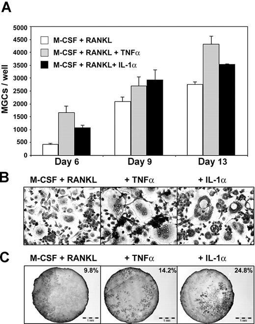 Figure 4. Effects of proinflammatory cytokines on DC-derived osteoclast formation. (A) Counts of TRAP+ DC-derived MGCs in different culture conditions. DCs treated with M-CSF and RANKL alone as control (□) or in combination with TNF-α (▦) or IL-1α (▪). Means ± SD of 3 experiments. (B) MGCs derived from DCs, after 13 days in the same culture conditions (original magnification × 100). (C) Dentine resorption by DC-derived MGCs obtained in the same culture conditions. Percentages of total dentine slice surface resorbed are indicated on each photograph.